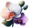 Orquídea 06