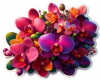 Orquidea En Ramos 03