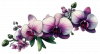 Orquideas Violetas Moradas 04 (6)