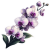 Orquideas Violetas Moradas 04 (9)