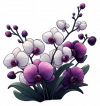 Orquideas Violetas Moradas 04 (12)