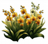 Orquideas Amarillas 03