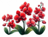 Orquideas Rojas 04