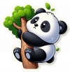 Osito Panda En Arbol 03