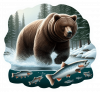 Oso Pardo A La Caza01
