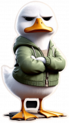 Pato Molesto01