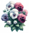 Pensamientos Blancos Y Violetas 10
