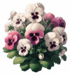 Pensamientos Blancos Y Violetas 11