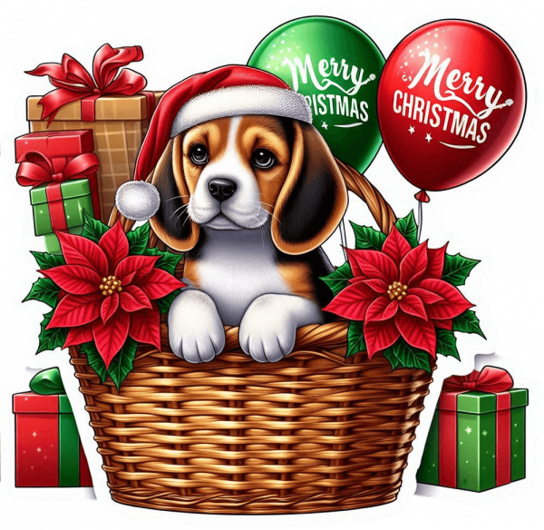 Perro Beagle En Cesta Y Feliz Navidad 02