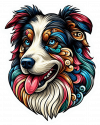 Perro Border Collie Colorido 02