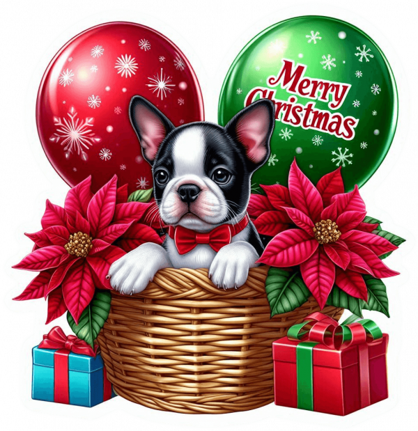 Perro Boston Terrier En Cesta Y Feliz Navidad 04