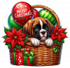 Perro Boxer En Cesta Y Feliz Navidad 02