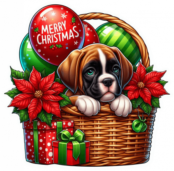Perro Boxer En Cesta Y Feliz Navidad 02