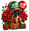 Perro Boxer En Cesta Y Feliz Navidad 04