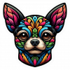 Perro Chihuahua Colorido 02