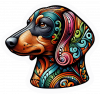 Perro Dachshund Colorido 03