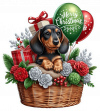 Perro Dachshund En Cesta Y Feliz Navidad 04