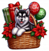 Perro Malamute De Alaska En Cesta Y Feliz Navidad