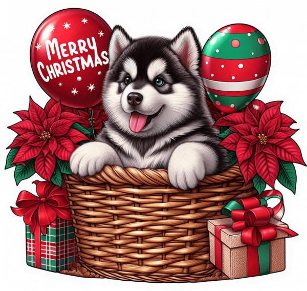 Perro Malamute De Alaska En Cesta Y Feliz Navidad