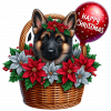 Perro Pastor Aleman En Cesta Y Feliz Navidad 03