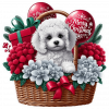 Perro Poddle En Cesta Y Feliz Navidad 02