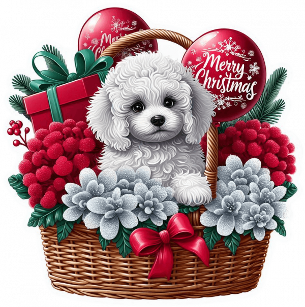 Perro Poddle En Cesta Y Feliz Navidad 02