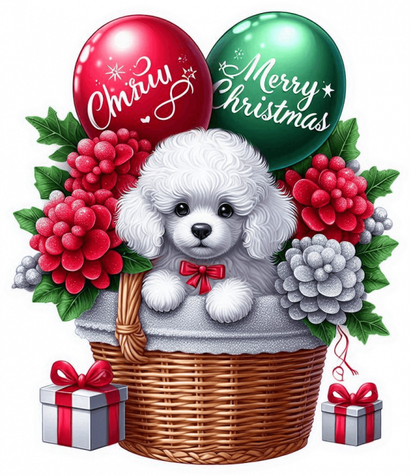 Perro Poddle En Cesta Y Feliz Navidad 04