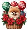 Perro Pomerania En Cesta Y Feliz Navidad 02