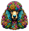 Perro Poodle Colorido 03