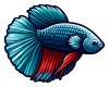 Pez Betta 02