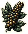 Pimienta 02