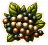 Pimienta 04