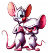 Pinky Y Cerebro 13