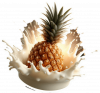 Piña En Crema 03