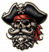 Pirata Cara 06