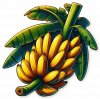 Platano En Rama 04