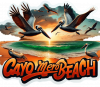 Playa Cayomero 01