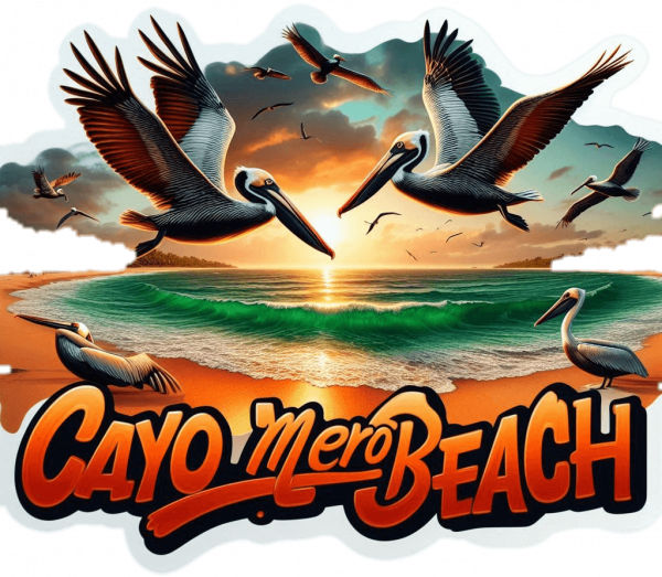 Playa Cayomero 01