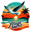 Playa Mero Gaviota 02
