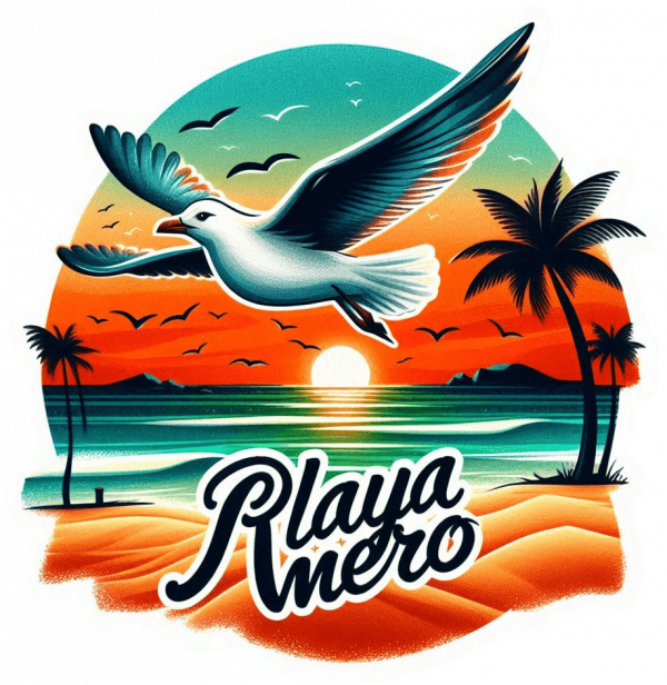 Playa Mero Gaviota 02