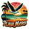 Playa Mero Gaviota 03