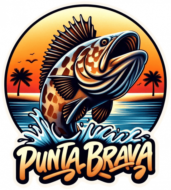 Playa Punta Brava 02