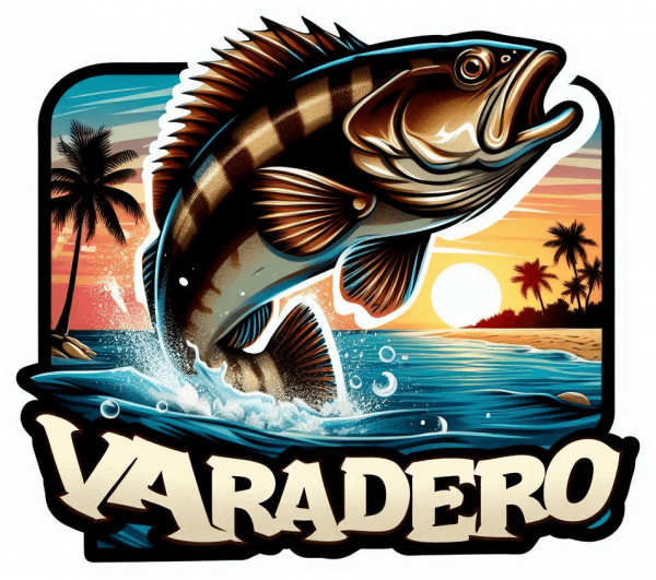 Playa Varadero 08