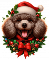 Poodle De Corona Navidad 01
