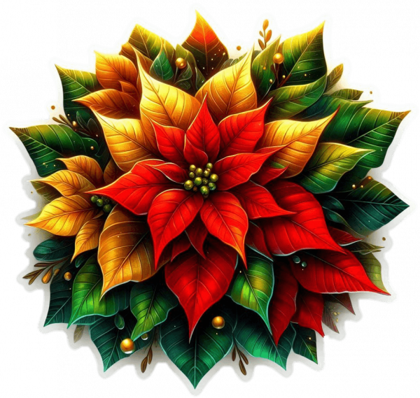 Ramo De Poinsettias Verdes Doradas 03