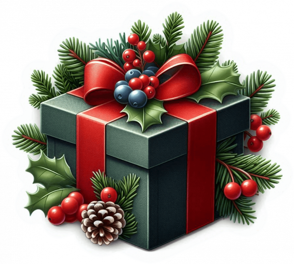Regalo De Navidad 05