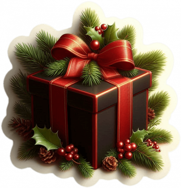 Regalo De Navidad 06