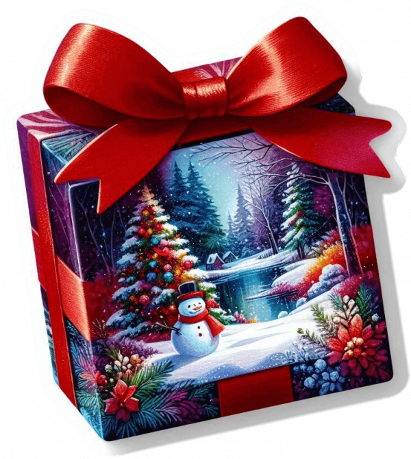 Regalo De Navidad Estampado 03