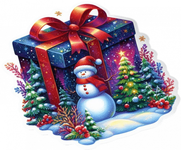 Regalo De Navidad Estampado 04