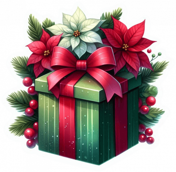 Regalo Navideño 11